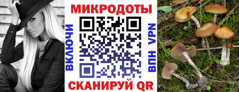 купить  цена  Гатчина  МЕГА ссылка  Галлюциногенные грибы Psilocybine cubensis 